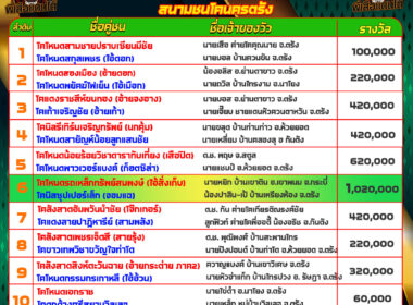 วัวชน วันที่08/08/67 โปรแกรมวัวชน สนามชนโคนครตรัง