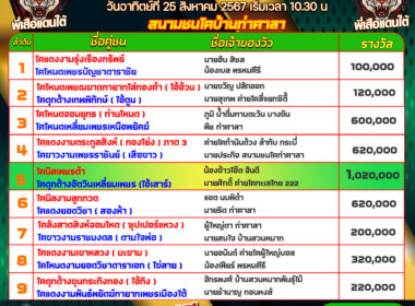 วัวชน วันที่25/08/67 โปรแกรมวัวชน สนามชนโคท่าศาลา