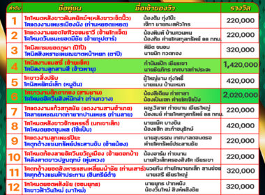 วัวชน วันที่11/08/67 โปรแกรมวัวชน สนามชนโคบ้านบ่อล้อ