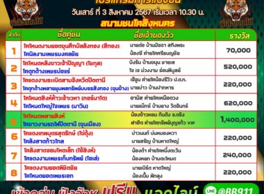 วัวชน วันที่03/08/67 โปรแกรมวัวชน สนามชนโคสิงหนคร