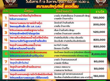 วัวชน วันที่13/08/67 โปรแกรมวัวชน สนามชนโคทุ่งโพธิ์ สเตเดี๊ยม