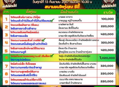 ทีเด็ดวัวชน วันที่13/09/67 สนามชนโคทุ่งสง ซิตี้