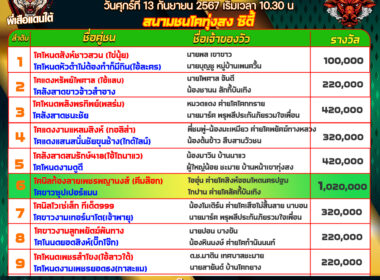 วัวชน วันที่13/09/67 โปรแกรมวัวชน สนามชนโคทุ่งสง ซิตี้