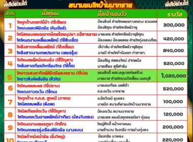 วัวชน วันที่20/09/67 โปรแกรมวัวชน สนามชนโคบ้านนาทราย