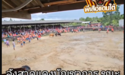 คลิปวัวชนย้อนหลัง ผลการชน  ลังสาดแดงบัญชาการทหารไทย (ปักเป้า) VS  โหนดขุนศึก (อาร์ก้าร์)