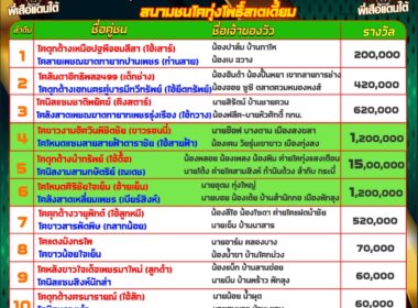 วัวชน วันที่19/09/67 โปรแกรมวัวชน สนามชนโคทุ่งโพธิ์ สเตี๊ยม