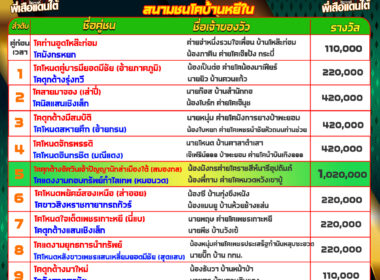 วัวชน วันที่03/09/67 โปรแกรมวัวชน สนามชนโคบ้านหยีใน