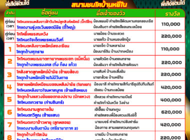 วัวชน วันที่04/09/67 โปรแกรมวัวชน สนามชนโคบ้านหยีใน