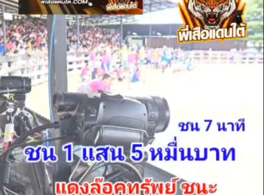 คลิปวัวชนย้อนหลัง ผลการชน แดงล็อคทรัพย์ทีเด็ด 99  VS ดุกด้างจากัวร์ (อ้ายเสือบ้านโพธิ์)