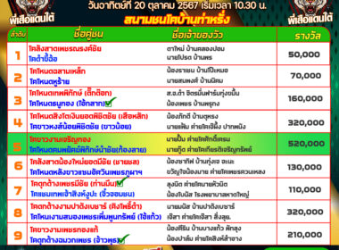 ทีเด็ดวัวชน วันที่20/10/67 สนามชนโคบ้านท่าหรั่ง