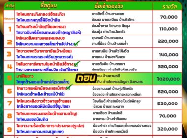 ทีเด็ดวัวชน วันที่16/10/67 สนามชนโคบ้านปากพล