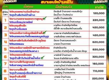 ทีเด็ดวัวชน วันที่04/10/67 สนามชนโคบ้านหยีใน