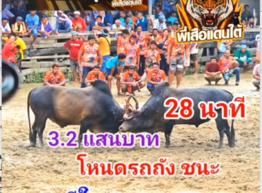 คลิปวัวชนย้อนหลัง ผลการชน โหนดหลังขาวพัฒนชัย (การบิน) VS โหนดท้องลายจอมลีลายุทธ (รถถัง)