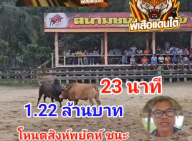 คลิปวัวชนย้อนหลัง ผลการชน ขาวเกียรตินำโชค (เพชรทองพลอย)  VS โหนดสิงห์พยัคฆ์ (ไอ้ฉับ)