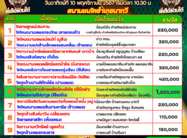 วัวชน วันที่10/11/67 โปรแกรมวัวชน สนามชนโคอำเภอนาทวี