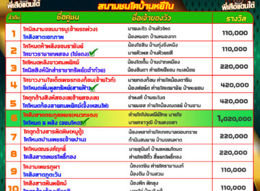 ทีเด็ดวัวชน วันที่01/11/67 สนามชนโคบ้านหยีใน