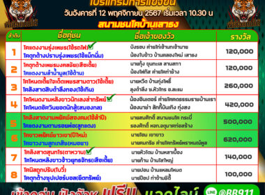 ทีเด็ดวัวชน วันที่12/11/67 สนามชนโคบ้านเสาธง