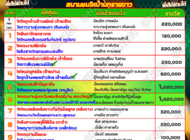 ทีเด็ดวัวชน วันที่28/11/67 สนามชนโคบ้านทรายขาว