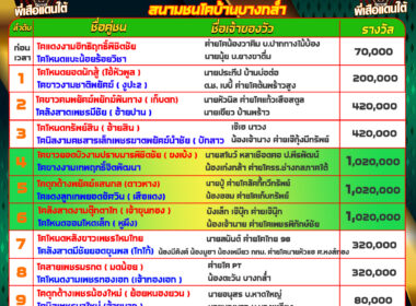 วัวชน วันที่16/11/67 โปรแกรมวัวชน สนามชนโคบ้านบางกล่ำ