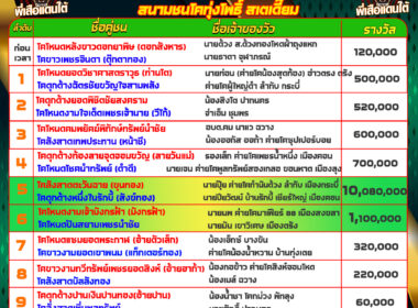 วัวชน วันที่14/11/67 โปรแกรมวัวชน สนามชนโคทุ่งโพธิ์ สเตเดี๊ยม