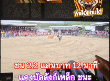 คลิปวัวชนย้อนหลัง ผลการชน แดงบัลลังค์เหล็ก (แดงป้าย)  VS ลังสาดเพชรทวีมีชัย (สุดเบอร์ๆๆๆ