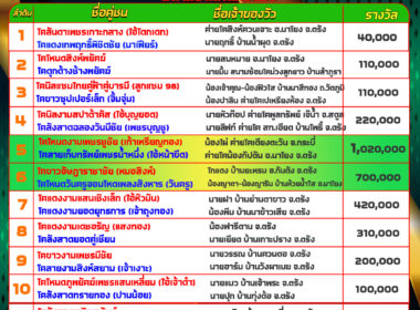 โปรแกรมวัวชน วันที่13/12/67 สนามชนโคนครตรัง