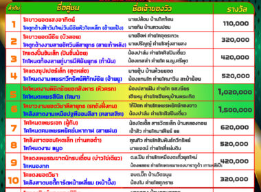 โปรแกรมวัวชน วันที่28/12/67 สนามชนโคนานาชาติ