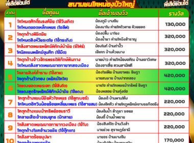 โปรแกรมวัวชน วันที่31/12/67 สนามชนโคบ้านหนองบัวใหญ่