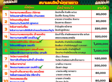 ทีเด็ดวัวชน วันที่26/12/67 สนามชนโคบ้านทรายขาว