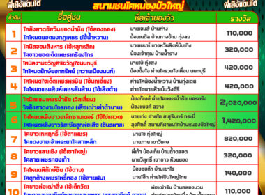 โปรแกรมวัวชน วันที่30/12/67 สนามชนหนองบัวใหญ่