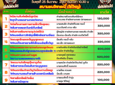 โปรแกรมวัวชน วันที่25/12/67 สนามชนโคกระบี่ (ไร่ใหญ่)