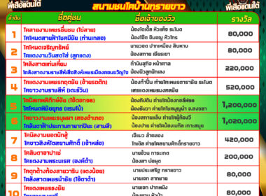 โปรแกรมวัวชน วันที่26/12/67 สนามชนโคบ้านทรายขาว