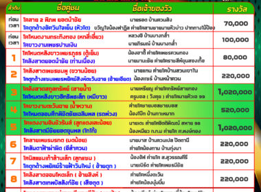 โปรแกรมวัวชน วันที่21/12/67 สนามชนโคบ้านบางกล่ำ