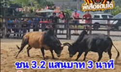 คลิปวัวชนย้อนหลัง ผลการชน ลังสาดพาโชคพาชัย (อ้ายเหนียว)  VS โหนดพยัคฆ์เมฆายอดมีชัย (เสือแกลบ)