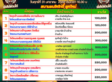 โปรแกรมวัวชน วันที่31/01/68 สนามชนโคบ้านหนองบัวใหญ่