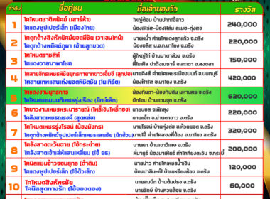โปรแกรมวัวชน วันที่07/02/68 สนามชนโคนครตรัง