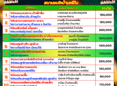โปรแกรมวัวชน วันที่03/02/68 สนามชนโคบ้านหยีใน