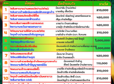 โปรแกรมวัวชน วันที่06/02/68 สนามชนโคสิงหนคร