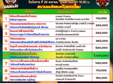 โปรแกรมวัวชน วันที่29/04/68 สนามชนโคสมหวังสเตเดี้ยม