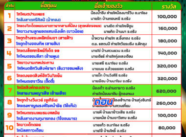 โปรแกรมวัวชน วันที่08/04/68 สนามชนโคนครตรัง