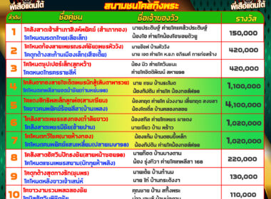 โปรแกรมวัวชน วันที่13/04/68 สนามชนสทิงพระ