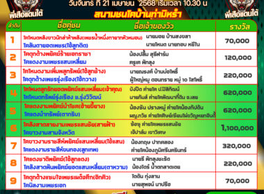 โปรแกรมวัวชน วันที่21/04/68 สนามชนบ้านท่ามิหรำ
