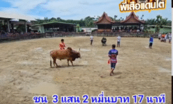คลิปวัวชนย้อนหลัง ผลการชน โหนดลุกรักพิทักษ์นำชัย (เจ้าสัว) VS โคแดงงามเพิ่มพูนทรัพย์ (ไอ้แกรบ)
