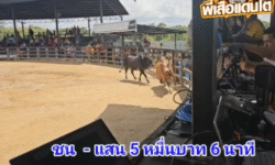 คลิปวัวชนย้อนหลัง ผลการชน โคขาวใจเพชร  VS โคลายศูนย์การศึกษานอกโรงเรียน (กศน.)