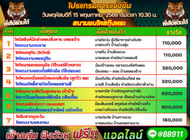 โปรแกรมวัวชน วันที่15/05/68 สนามสทิงพระ