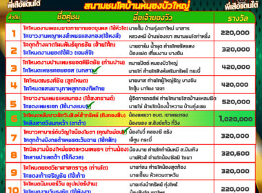 ทีเด็ดวัวชน วันที่28/05/68 สนามชนโคบ้านหนองบัวใหญ่