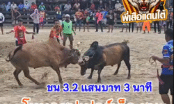 คลิปวัวชนย้อนหลัง ผลการชน โหนดซุปเปอร์เล็กเกียรติหมู่ 8 (ตัวเล็ก) VS ลังสาดงามเพชรภูผาเพชรพยัคฆ์นำชัย (ขุนแผน)