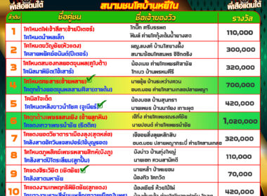 ทีเด็ดวัวชน วันที่02/06/68 สนามชนโคบ้านหยีใน