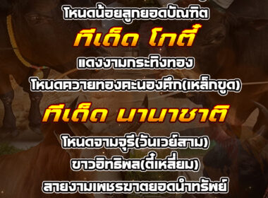 ทีเด็ดวัวชน วันที่27/07/68 สนามชนโคกระบี่-โกตี๋-นานาชาติ-ทุ่งทะเลหลวง