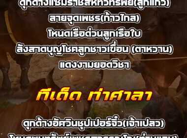 ทีเด็ดวัวชน วันที่23/07/68 สนามชนโคท่ามิหรำ-ท่าศาลา